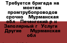 Требуется бригада на монтаж промтрубопроводов срочно - Мурманская обл., Печенгский р-н, Заполярный г. Услуги » Другие   . Мурманская обл.